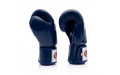 Боксерские перчатки BGV1 blue 14 oz
