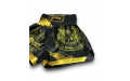 Шорты для бокса Blegend black/gold L