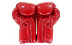Боксерские перчатки BGV6 red 14 oz