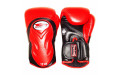 Боксерские перчатки BGVL6 black-red 14 oz Боксерские перчатки BGVL6 black-red 14 oz