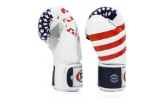 Боксерские перчатки Fairtex BGV1 USA 10 oz