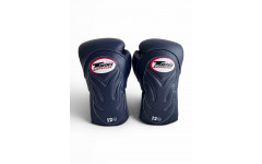 Боксерские перчатки Twins Special BGVL6 Navy/Navy 14 oz