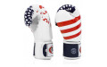 Боксерские перчатки Fairtex BGV1 USA 12 oz