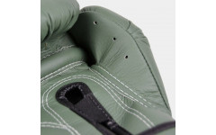 Боксерские перчатки Fairtex BGV11 F-DaY 14 oz
