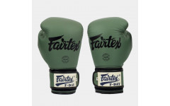 Боксерские перчатки Fairtex BGV11 F-DaY 16 oz