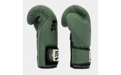 Боксерские перчатки Fairtex BGV11 F-DaY 16 oz