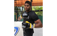 Перчатки Fairtex FGV18 black red L