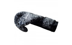 Боксерские перчатки Fairtex BGV14 Painter black 14 oz