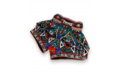 Шорты для бокса Twins Special TBS Aztec S