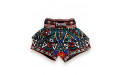 Шорты для бокса Twins Special TBS Aztec XL