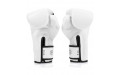 Боксерские перчатки Fairtex BGV14 white 16 oz
