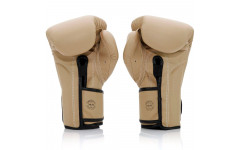Боксерские перчатки Fairtex BGV25 F-DaY2 12 oz