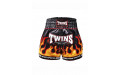 Шорты для бокса Twins Special TBS Flame L