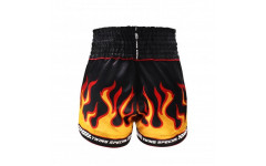 Шорты для бокса Twins Special TBS Flame M