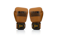 Боксерские перчатки Fairtex BGV21 LEGACY 14 oz