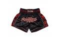 Шорты для бокса Twins Special TBS skull black L