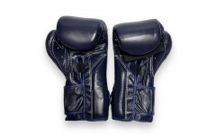 Боксерские перчатки Fairtex BGV9 blue 14 oz