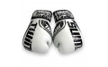 Боксерские перчатки FBGDM12-TW7 white 12 oz