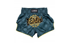Шорты для бокса Fairtex BS1915 S