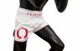 Шорты для бокса Fairtex BS1918 XL