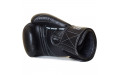 Боксерские перчатки Twins Special BGVL14 black 10 oz