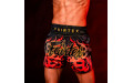 Шорты для бокса Fairtex BS1921 Volcano L
