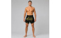 Шорты для бокса Fairtex BS1947 - L