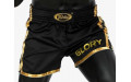 Шорты для бокса Fairtex BSG1 black gold L