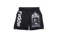 Шорты для ММА Fairtex AB Reversal L